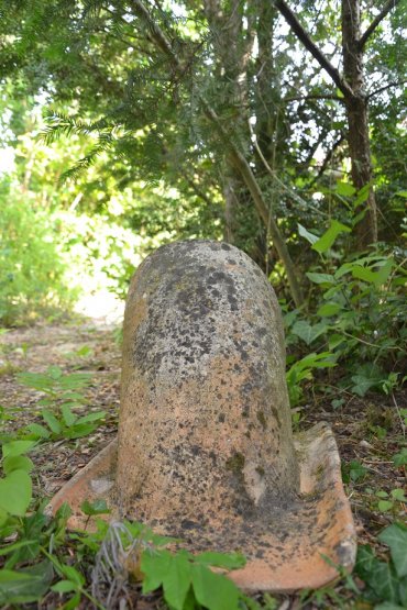 Loubier d'autrefois