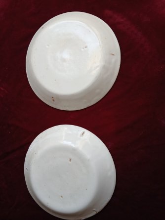 Paire d'assiettes en Faïence 